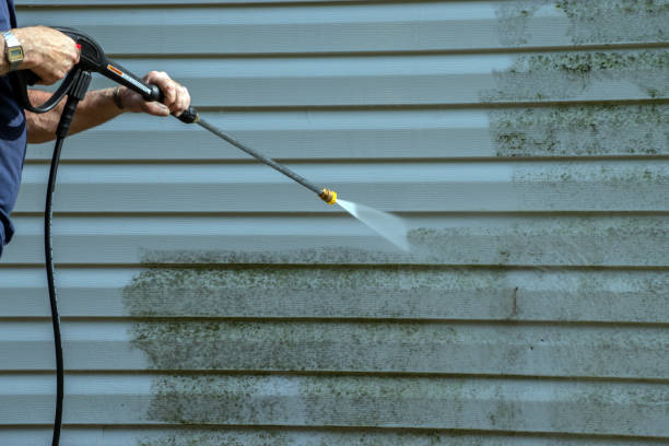 Professional Pressure Washing Services in Pamplico, SC